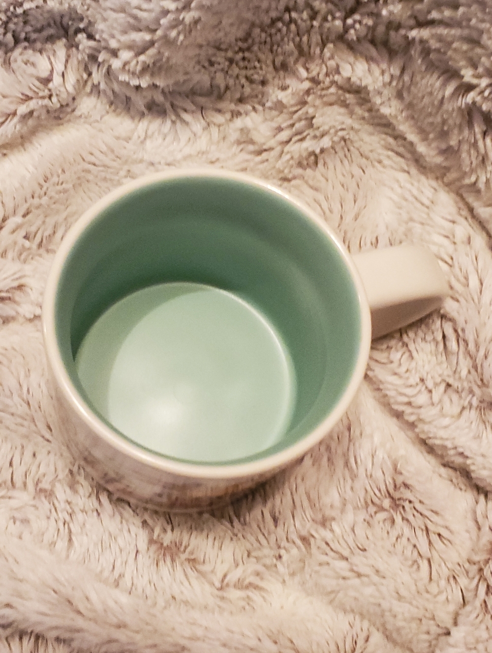 Disney California Adventure Starbucks 2024 Discovery Series Mug New No Box - Picture 2 of 6